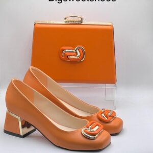 Luxury Court Shoes &Handbag Set